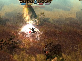 Drakensang Online