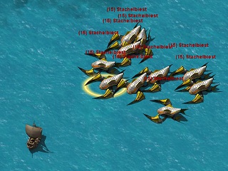 Pirate Storm