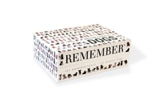 Remember Spiel